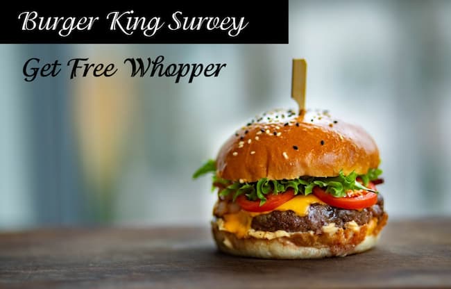 burger king survey