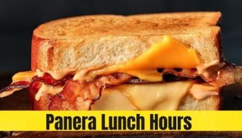 Panera Lunch Hours