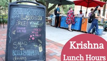 krishna lunch hours