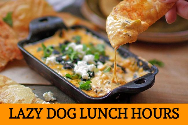 lazy dog lunch hours